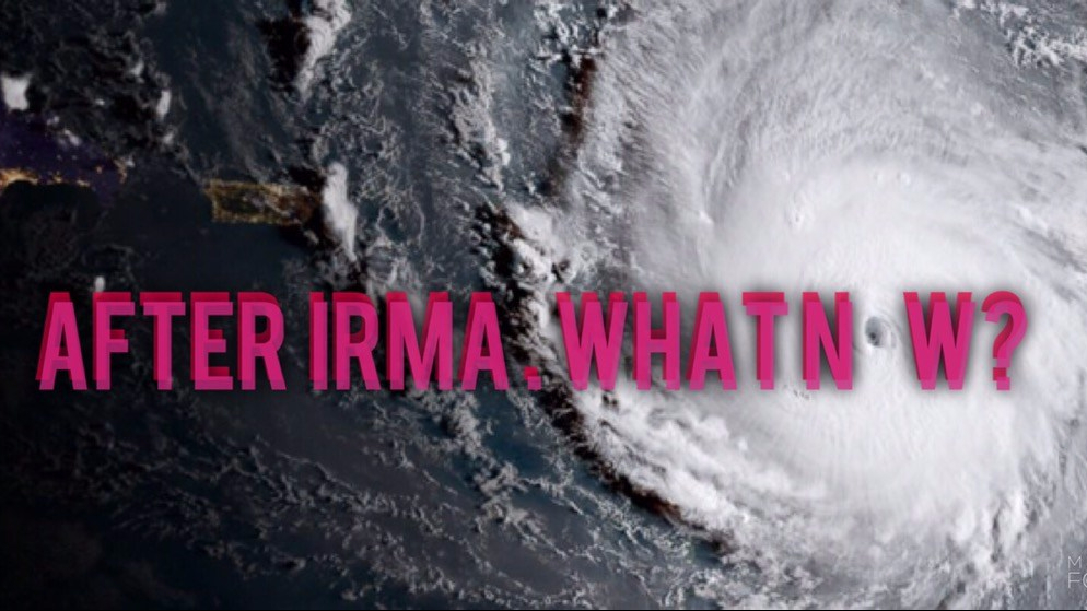 After Irma. What&nbsp;Now?